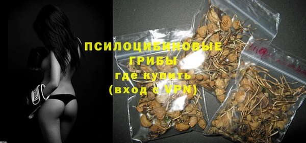 apvp Губаха