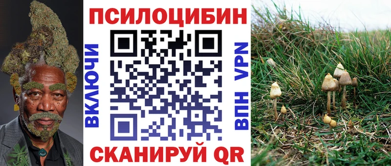 Галлюциногенные грибы Psilocybine cubensis  Беслан 